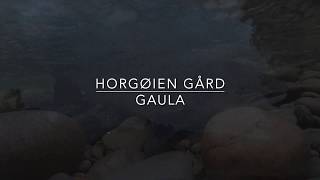 Laksefiske Horgøien 2018 HD [upl. by Adnara]