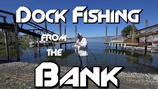 Bank Fishing How to Catch Every Bass Under a Dock [upl. by Harbard]