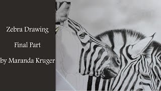 Drawing Timelapse Zebra Final Part using Mechanical Pencils [upl. by Nevur]