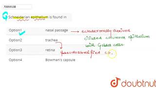 Schneiderian epithelium is found in [upl. by Esinwahs644]