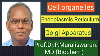 ER amp GA Muralis Simplified Biochemistry [upl. by Daryl]