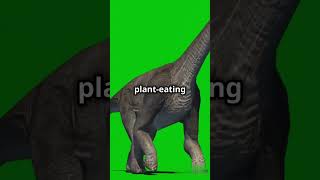 🦕 The LongNecked Brachiosaurus Towering Giant of the Past DinoFacts shorts [upl. by Dexter]