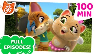 44 Cats  8 FULL EPISODES 😺 Buffycats cattastic Friends 🌈🤗 [upl. by Enneyehc]