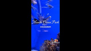 Oceanarium Adventure  Manila Ocean Park [upl. by Elizabet]