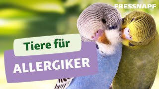 Geeignete Tiere für Allergiker [upl. by Suiratnauq]