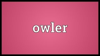 Owler Meaning [upl. by Fontana]