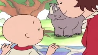 Caillou en Français  Caillou et Laventure au Zoo  dessin animé en francais  conte pour enfant [upl. by Assela485]