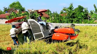 KOMBI SAWAH KUBOTA DC 70 PLUS MEMANEN PADI DENGAN CEPAT [upl. by Gimpel728]