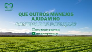 Que outros manejos ajudam no controle de doenças [upl. by Figueroa336]