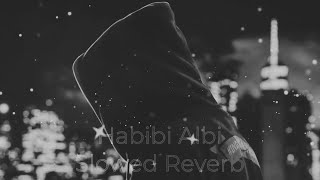 Habibi Albi Slowed Reverb Faydee [upl. by Christopher585]