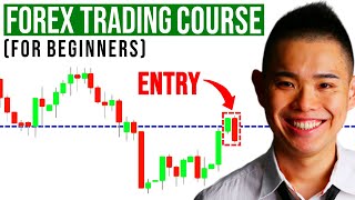 The Ultimate Forex Trading Course For Beginners [upl. by Hayn]