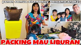 ALHAMDULILAH PACKING SUDAH SELASAI ampPANEN STRAWBERRY PERDANA DI BALKONI [upl. by Depoliti348]