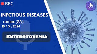 INFECTIOUS  Enterotoxemia  Dr Samar Atwa [upl. by Hanavas]