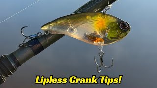 Few Anglers Know These Lipless Tips And They Will Make You A Much Better Angler [upl. by Nodnarbal]