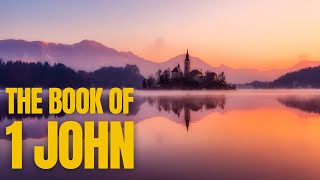 1 John  Full Audio Bible Reading ESV [upl. by Kirwin869]