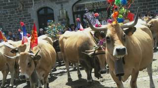 Fête de la transhumance en Aubrac [upl. by Norret]