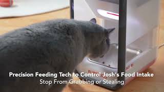 Preview of FeedFit Worlds First Microchip Cat Feeder for Multicat Families [upl. by Ireg266]