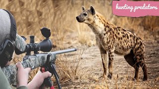 Hunting African hyenas with guns [upl. by Eilitan278]