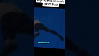 Part2King Of Sparko Indonesia [upl. by Rolfston]