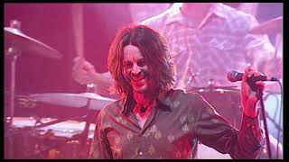 Powderfinger  These Days Live In Concert  A Vulture Street Film 20thanniversary [upl. by Truc197]