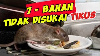 BAHAN YANG TIDAK DISUKAI TIKUS [upl. by Reteid403]