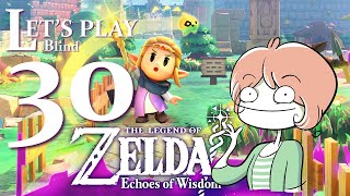 The CATTASTIC episode The Legend of Zelda Echoes of Wisdom Blind playthrough  Ep 30 [upl. by Kaya380]