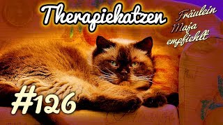 Therapiekatzen Fräulein Maja empfiehlt Teil 126 [upl. by Naeloj]