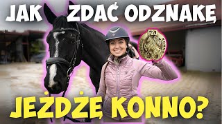 JAK ZDAĆ ODZNAKĘ JEŻDŻĘ KONNO💪🏻Objaśnienie Części Stajennej i Praktycznej😎NOWE PRZEPISY 2024🗒ZDAJTO [upl. by Monty]