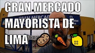 Visitando el Gran Mercado Mayorista de Lima 2018 [upl. by Nyledam862]