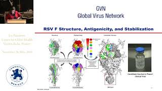 RSV F glycoprotein structure determines vaccine immunogenicity in a phase I clinical trial [upl. by Chiaki733]