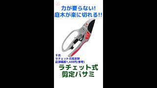 力要らずで切れるラチェット式剪定鋏ってどれくらい切りやすいの【藤原産業】Shorts [upl. by Ignazio426]