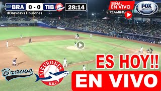 Bravos vs Tiburones EN VIVO donde ver y a que hora juega Bravos vs Tiburones en vivo LVBP 2023 [upl. by Eninnaej]