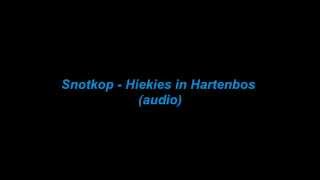 Snotkop  Hiekies in Hartenbos audio [upl. by Naivat]