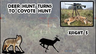 Predator Turned Prey  Coyote Chases Deer Then Becomes the Prey [upl. by Randolf]