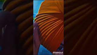 pagglover turbantraining paggtutorial turbanator [upl. by Harold]