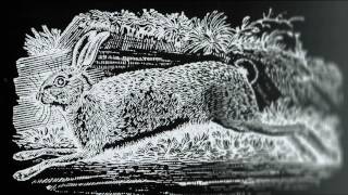 The Names of the Hare [upl. by Kcinimod]