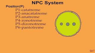 NPC system of Classification  Pollen and spore aperture  Bsc exam purpose [upl. by Ailsa]