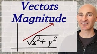 Magnitude of a Vector [upl. by Nylaehs]