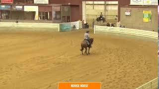 2024 SERHA Fall Spooktacular amp McGee Farm Futurity Main Arena Friday October 25 [upl. by Vere54]