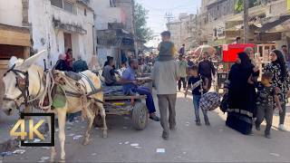 NEW VIDEO FROM GAZA 🇵🇸  14 Nov 2024  Gaza Palestine  Gaza During War  فلسطين غزة [upl. by Jackson]