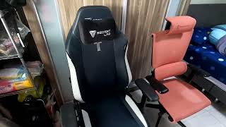 SecretLab VS Ergotune Chair Comparison [upl. by Ennirok891]