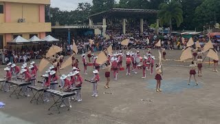 CAMARINES NORTE NATIONAL HIGH SCHOOL DLC  17th PARUYAN FESTIVAL DLC COMPETITION 2023  TALISAY [upl. by Cinimod]