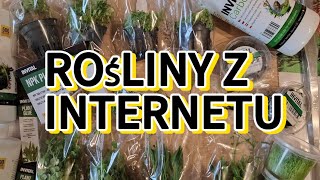 Zamówiłem rośliny przez internet [upl. by Neo]