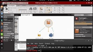 ACTUALIZAR Maltego 4 EN KALI LINUX 20162 [upl. by Dempsey932]