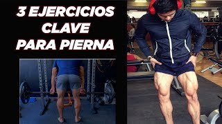 ¡3 EJERCICIOS CLAVE PARA LAS PIERNAS [upl. by Lister]