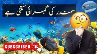 Ocean life by depth  Deep sea creatures documentary  Ocean life explained in urdu and hindi [upl. by Latimer]