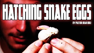 Dean Odle EU  Sermon  Hatching Snake Eggs [upl. by Victoir193]