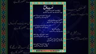 Dil thikana mere huzoor ka haLyrics Naat [upl. by Reinaldos]