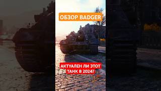 СТОИТ ЛМ ПРОКАЧИВАТЬ BADGER В 2024 ГОДУ [upl. by Karia]