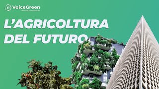 Come Nascono Gli Orti tra i Grattacieli Agricoltura Urbana e Sostenibilità  VoiceGreen Ep 190 [upl. by Eemaj]